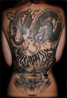 /album/fenykepgaleria/tigris-es-sarkany-png/